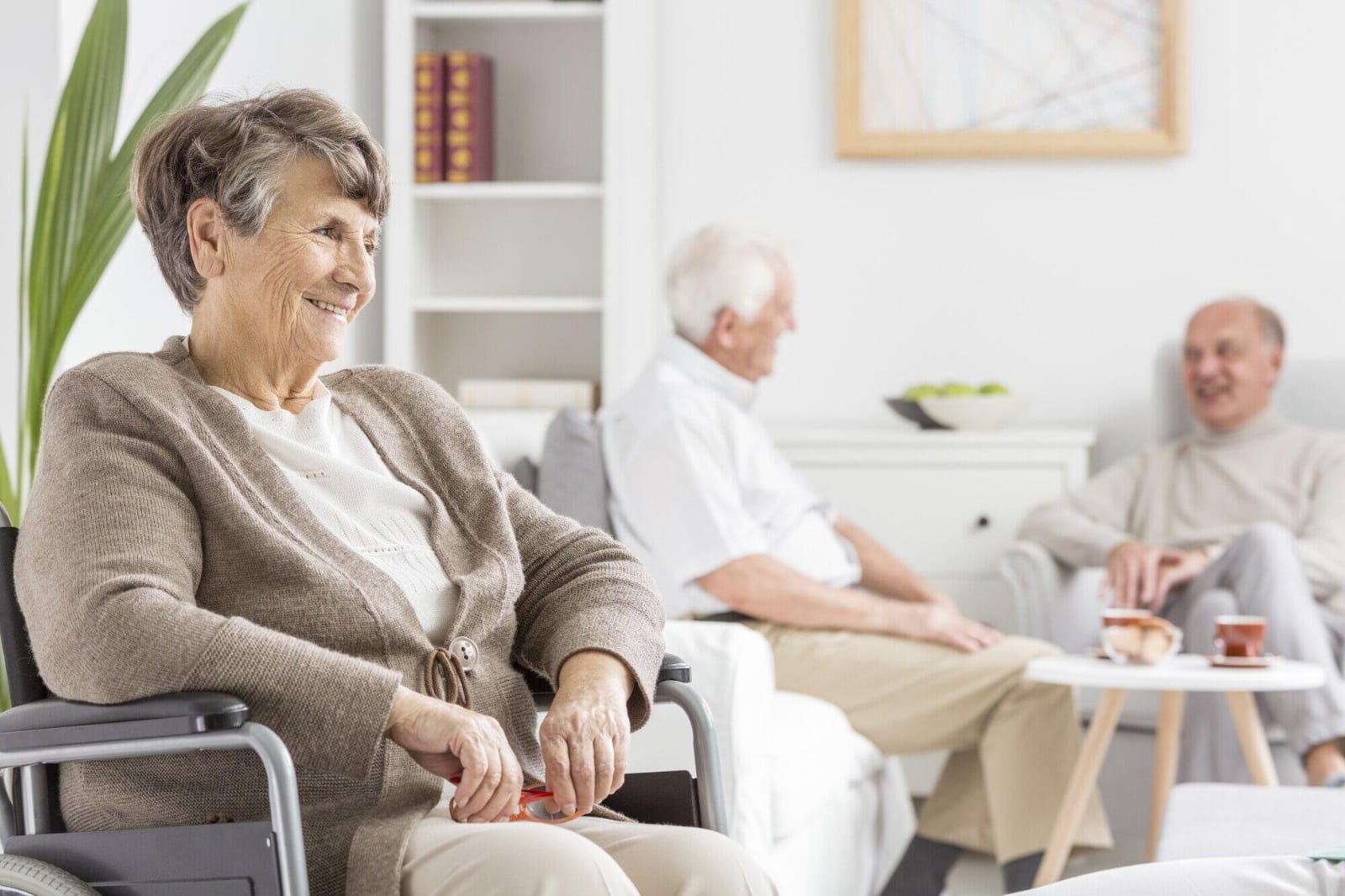 The Ultimate Guide to Elderly Home Care: What You Need to Know