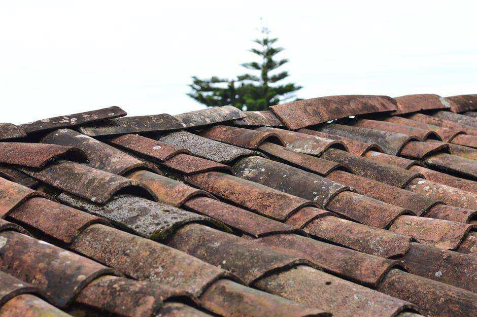 How to Choose the Right Roof Cleaning Service for Your Home